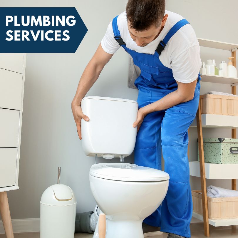Plumbing Company in Mendon, MI